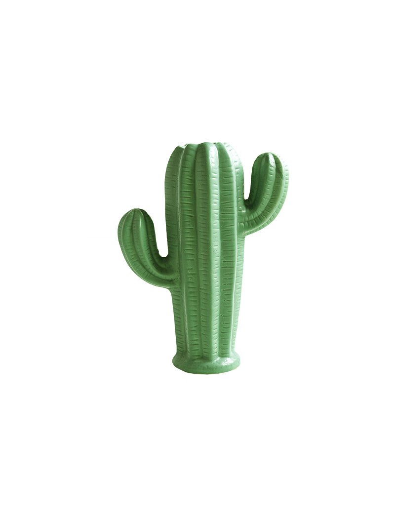 Cactus Plant – Craigkamman.com